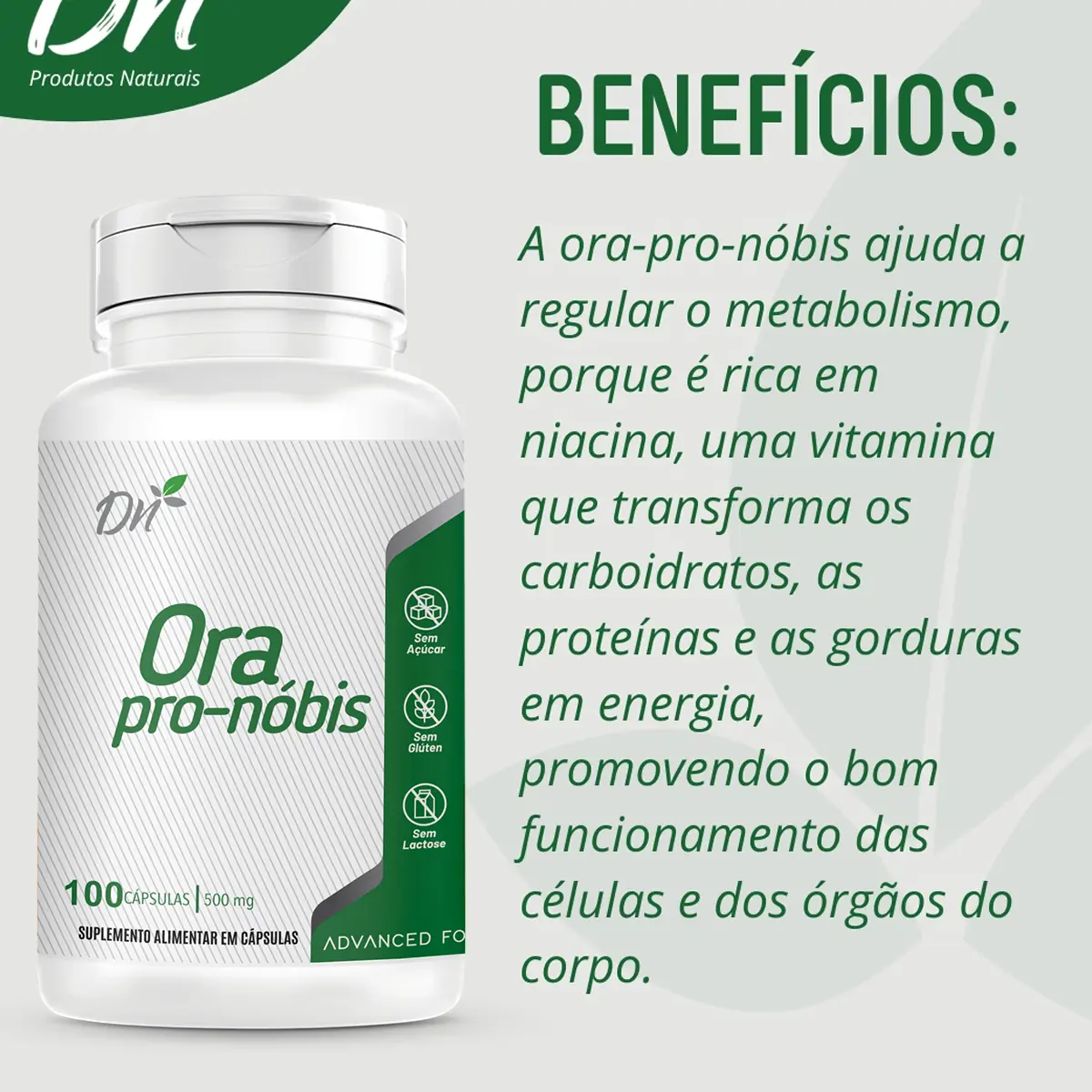 Ora Pro Nobis 500mg 100 Cápsulas Suplemento Natural - Imagem 2