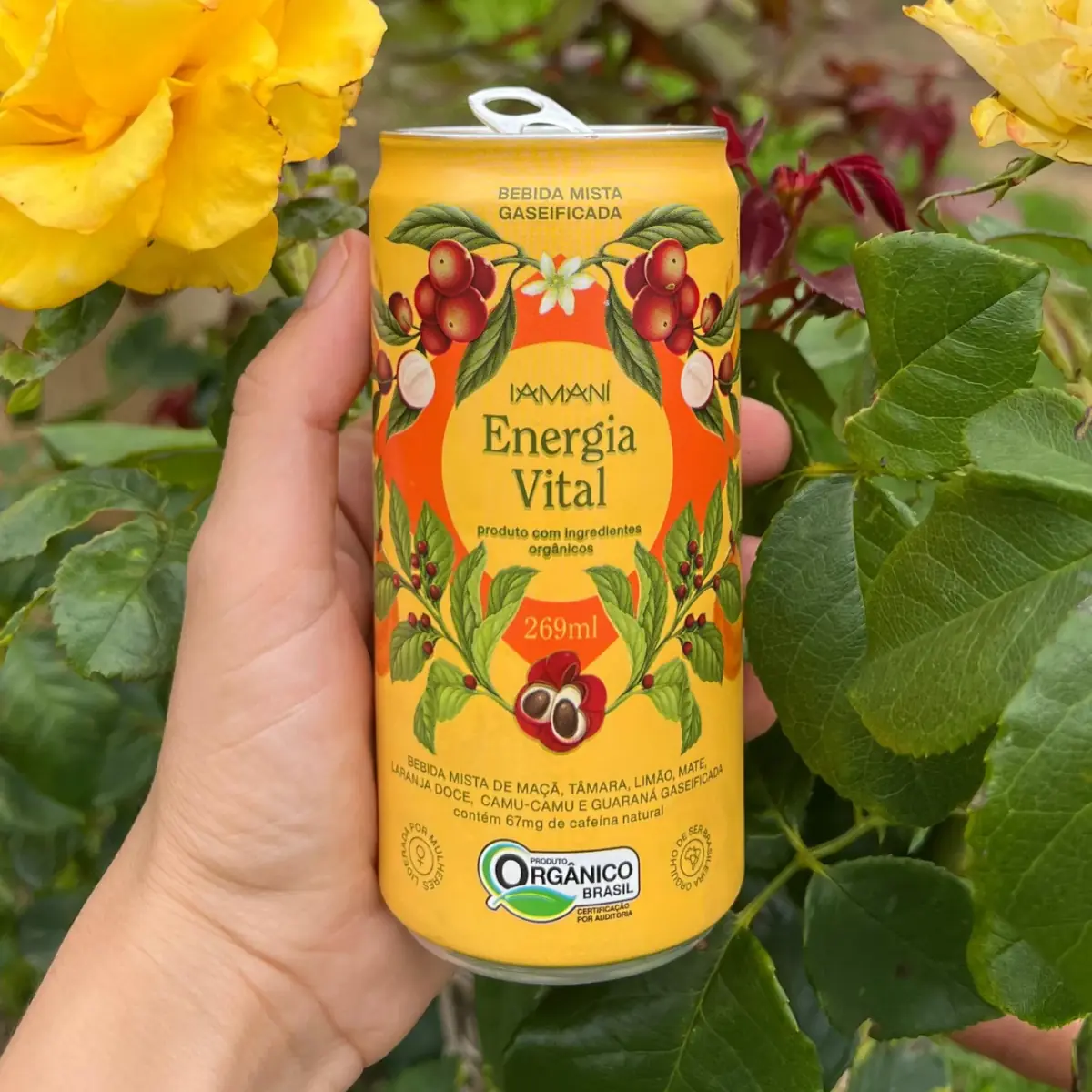 Chá Gelado Orgânico Gaseificado Energia Vital Iamani - Imagem 3