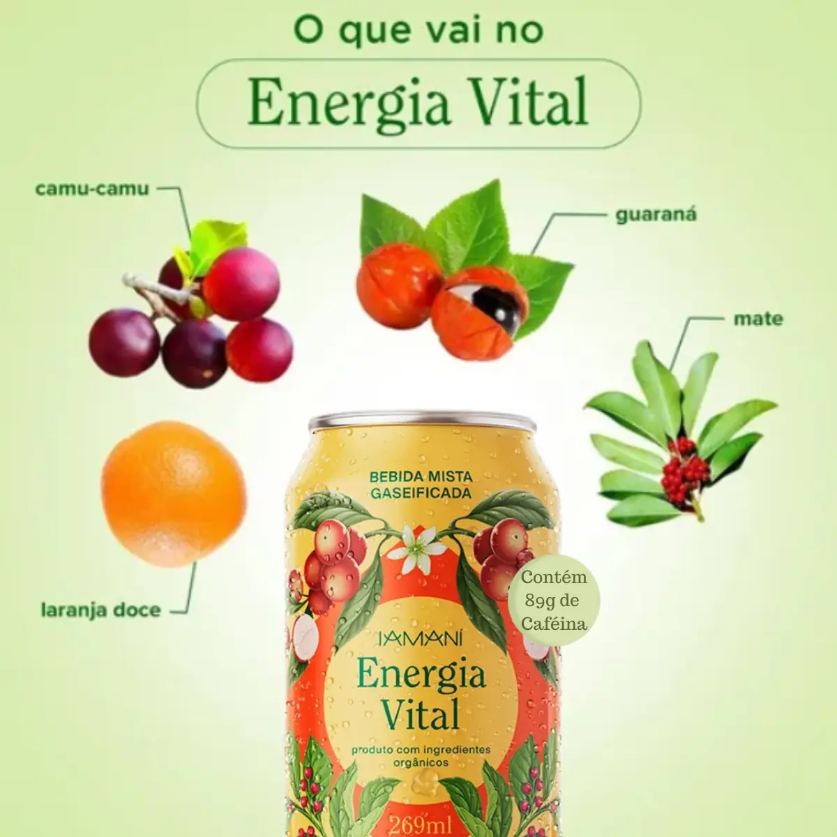 Chá Gelado Orgânico Gaseificado Energia Vital Iamani - Imagem 2