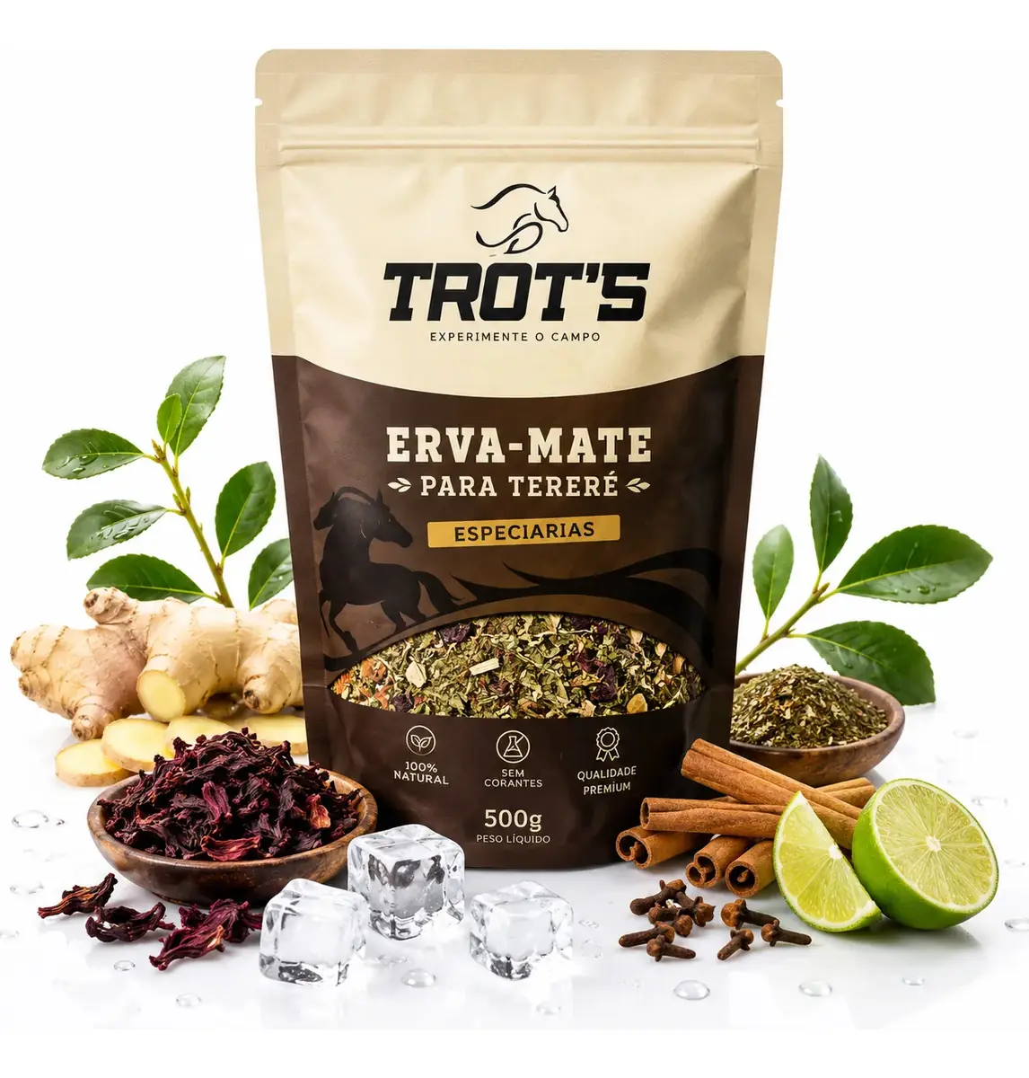 Trots Erva Tereré Premium Sabore Especiarias 500g
